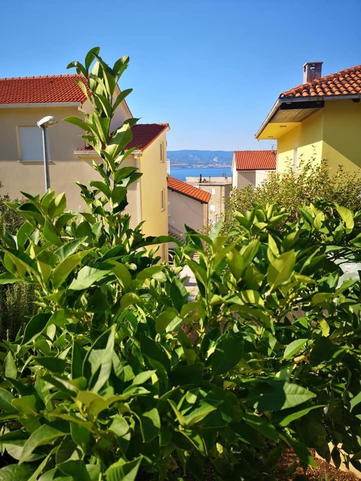 Apartmani Livajic Duće Dış mekan fotoğraf